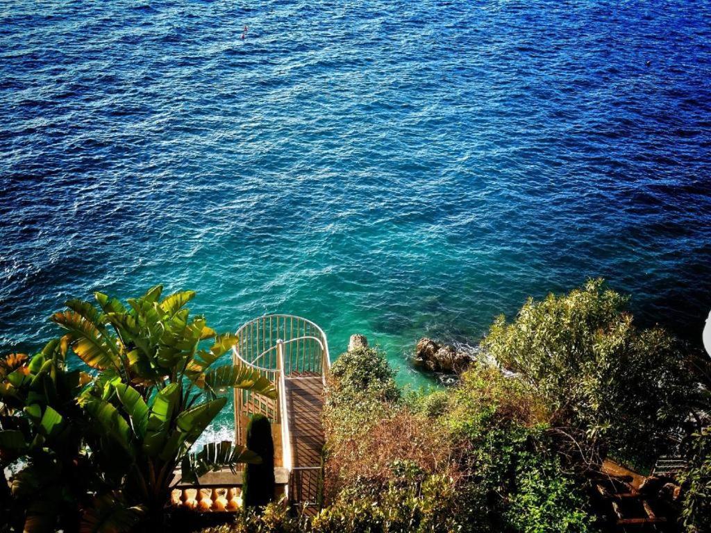 Heart Of The Old Nice